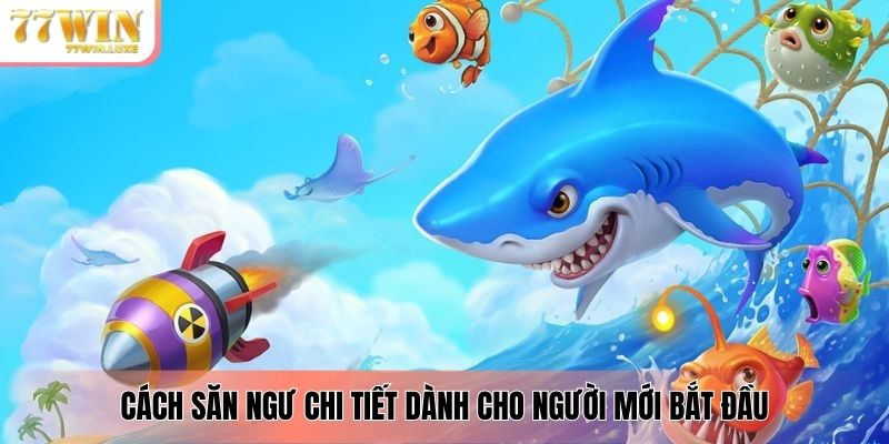 Cách săn ngư chi tiết dành cho người mới bắt đầu