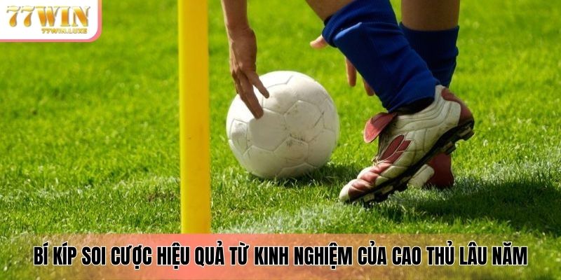 Bí kíp soi cược hiệu quả từ kinh nghiệm của cao thủ lâu năm Bí kíp soi cược hiệu quả từ kinh nghiệm của cao thủ lâu năm