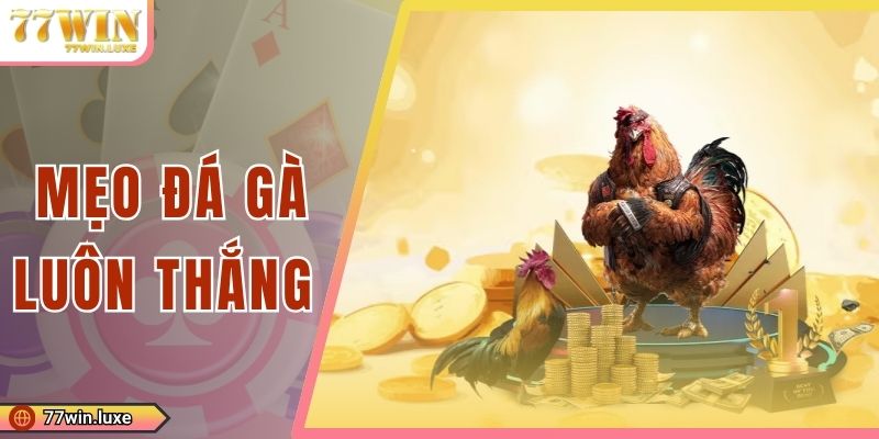 Mẹo Đá Gà Luôn Thắng Mang Đến Mức Lợi Nhuận Cực Khủng 