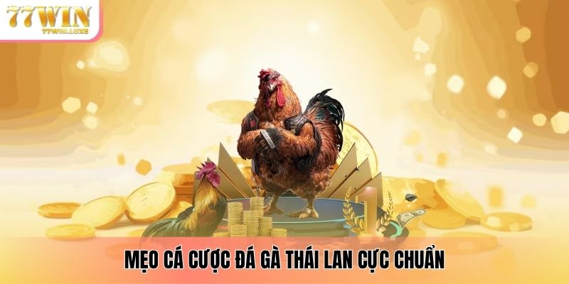 Mẹo cá cược đá gà Thái Lan cực chuẩn