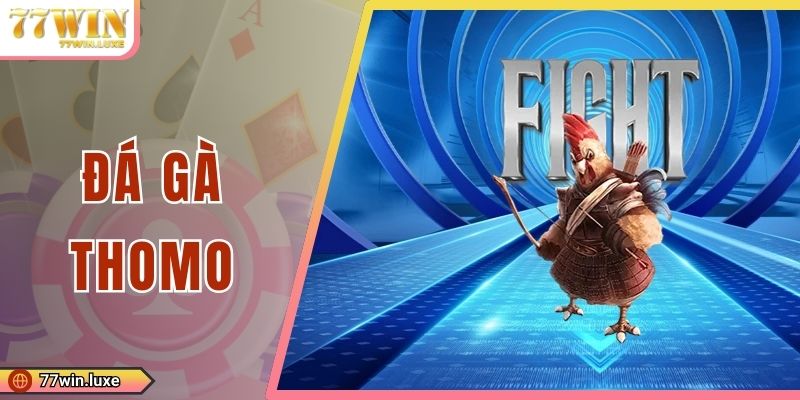 Đá Gà Thomo - Trường Thi Đấu Chọi Kê Nổi Tiếng Hàng Đầu