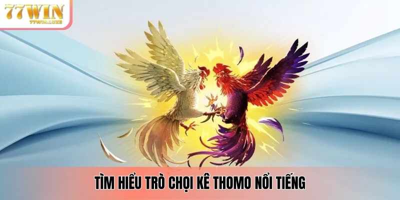 Tìm hiểu trò chọi kê Thomo nổi tiếng