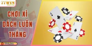 Chơi Xì Dách Luôn Thắng - Kiến Thức Quan Trọng Cần Nhớ 