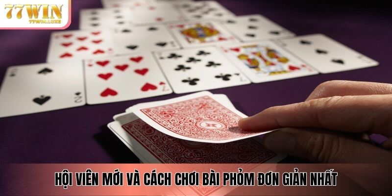 Hội viên mới và cách chơi bài phỏm đơn giản nhất